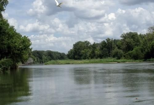 Colorado River Rv Campground Columbus Exterior foto